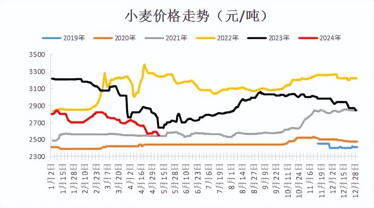 小麦价格最新动态及市场走势分析与预测