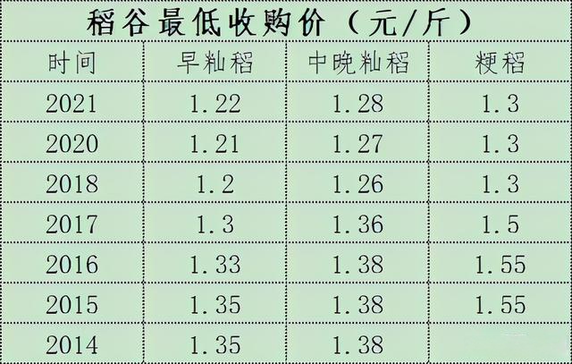 稻谷最新价格动态解析报告