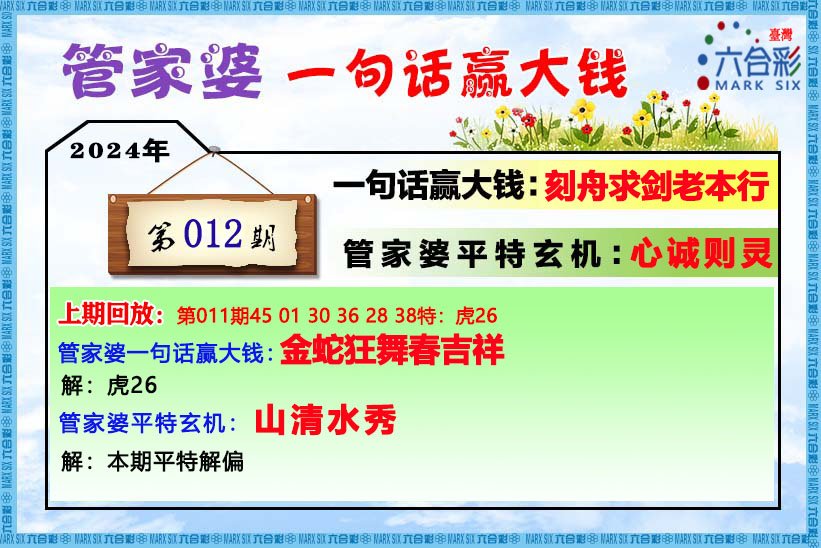 管家婆的资料一肖中特46期,经典说明解析_战略版29.410