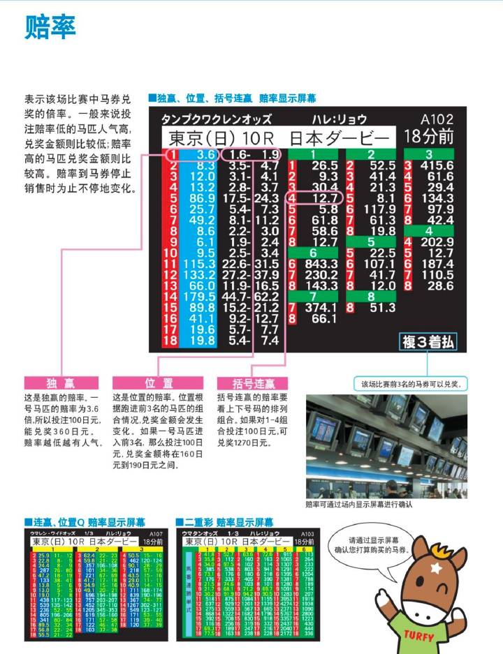 132688.соm马会传真查询,专业解析评估_手游版82.495