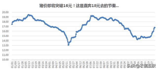 猪价行情宝，掌握最新猪价信息的必备工具