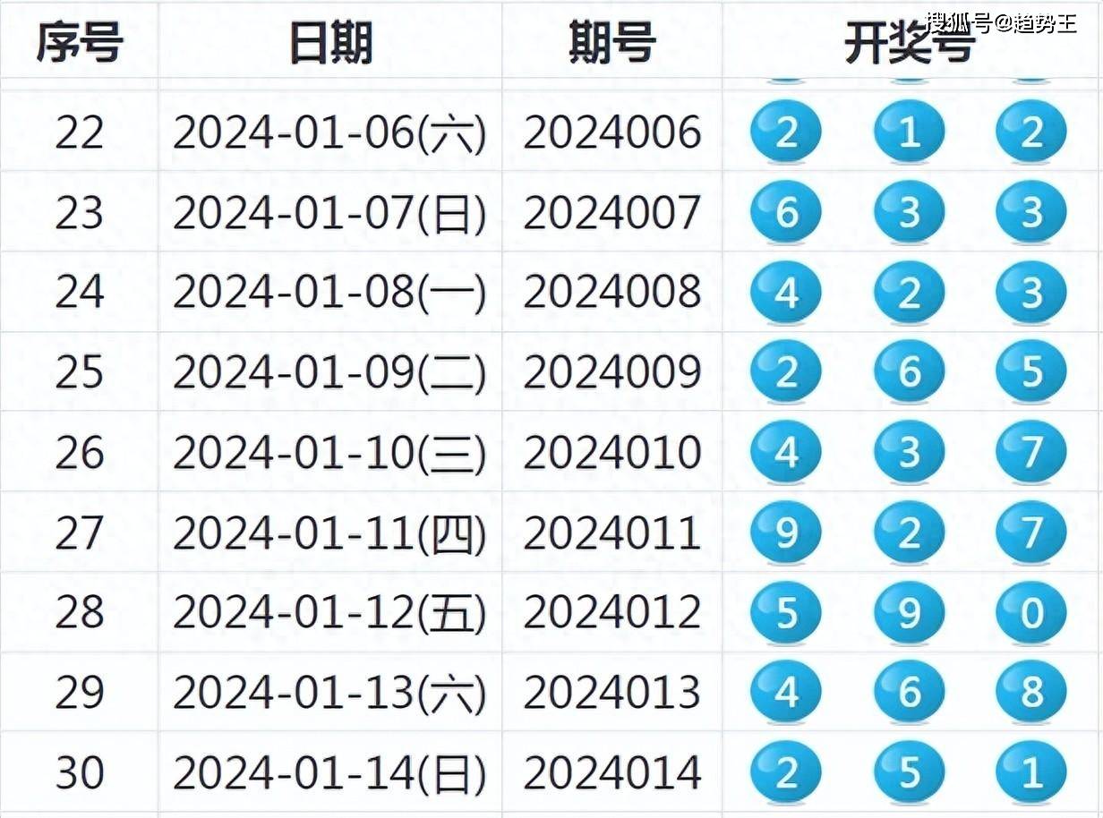 开奖结果开奖记录2024,实证解读说明_yShop95.619