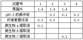 黄大仙三肖三码必中三,高效性实施计划解析_开发版63.793